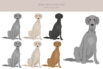 Irish wolfhound clipart. Different poses, coat colors set