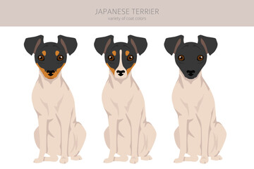 Japanese terrier clipart. Different poses, coat colors set