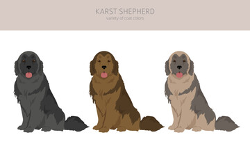 Karst shepherd dog clipart. Different coat colors set