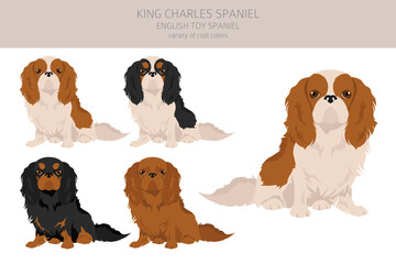 King Chares Spaniel clipart. Different poses, coat colors set