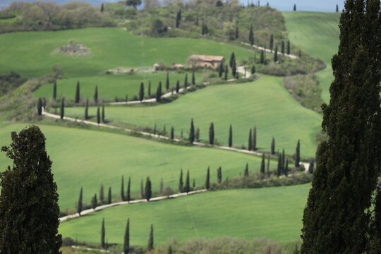 TUSCANY, VAL D'ORCIA, LA FOCE, SIENA