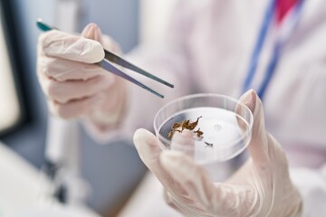 Young beautiful hispanic woman scientist holding plant sample and tweezers at pharmacy