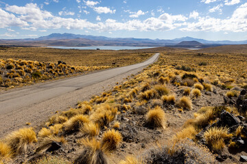 National Park Laguna Blanca in Neuquén, Argentina - Traveling South America