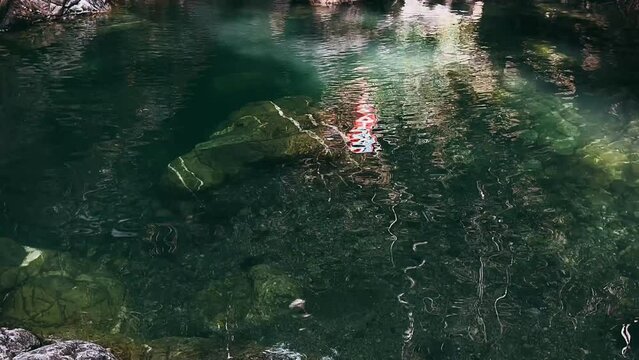 forest, water, landscape, waterfall, canyon, stone, lake, summer, natural, beauty, rocks, travel, tree, clear, outdoors, wild, jungle, river, stream, nature, flowing, rock, mountain, green, sea, verti