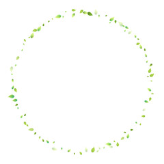 Leaves Green Falling Flying Foliage Leaf Tea Mint