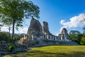 Fototapeta na wymiar Kalakmul, Maya Archeological site. 