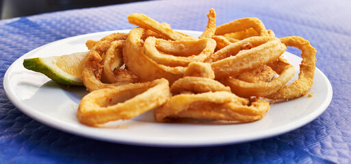  Plate of fried calamari on paper surface