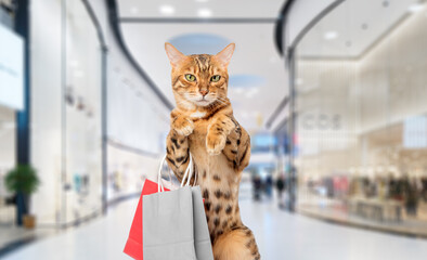 Cat with shopping bags in the mall. Shopping cat.