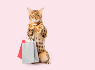 Bengal cat with shopping bags ready for discount - obrazy, fototapety, plakaty