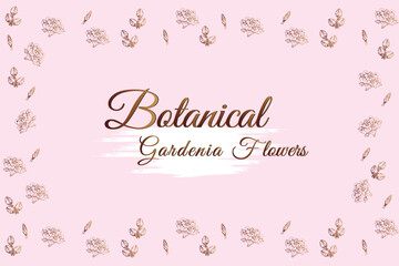 Fototapeta na wymiar Gardenia line flowers. frame and pink background vector illustration.