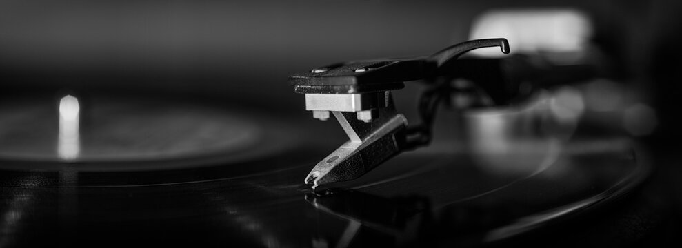 Vinyle