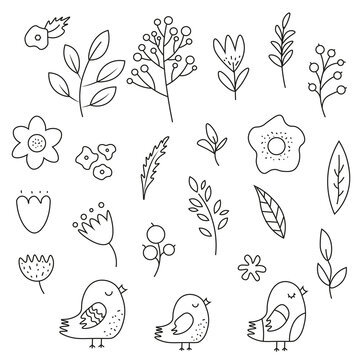 set of illustrations including different leaves trees flowers birds. line art of forest flora
Outline botanical drawing for coloring. illustrations of plants and flowers. icons of plants, flowers, bir