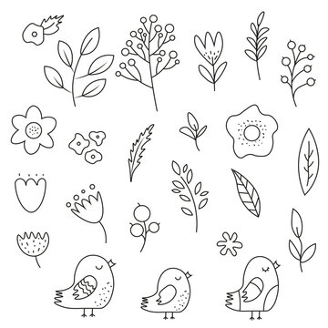 set of illustrations including different leaves trees flowers birds. line art of forest flora
Outline botanical drawing for coloring. vector illustrations of plants and flowers. icons of plants, flowe