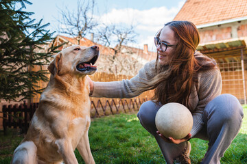 A young girl student is petting and feeding and playing with her pet dog labrador in backyard	
