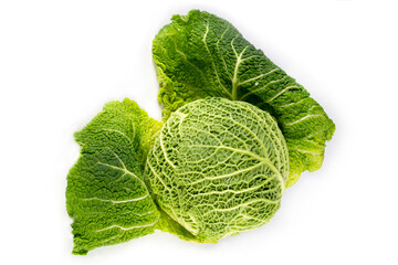 A grown head of Savoy cabbage on a white background
