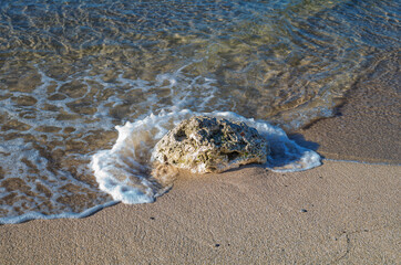 Ocean Wave and Foam on Coral at a Sandy Beach in Hawaii.