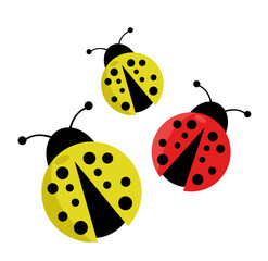 Ladybug vector illustration on white