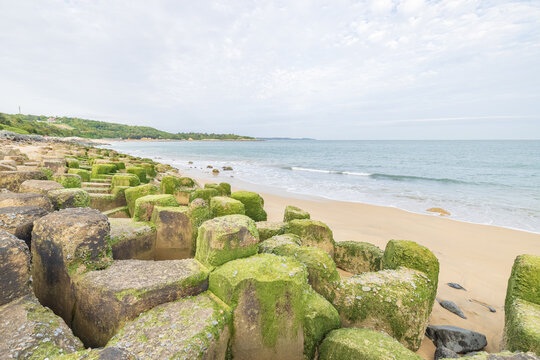 Plenty of green reefs strewn with rocks along the coastline in Kinmen, Taiwan. 金門 綠石槽