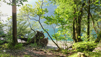 Naturstrand am Bohinji See im Triglav Nationalpark