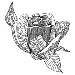 Vector flower for coloring book or page