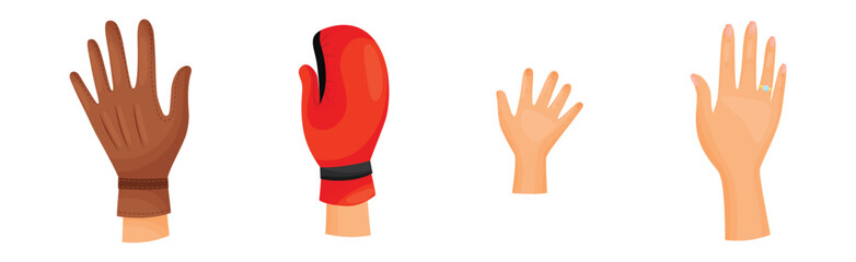 Different Human Right and Left Hands with Palm Raised Up Vector Set