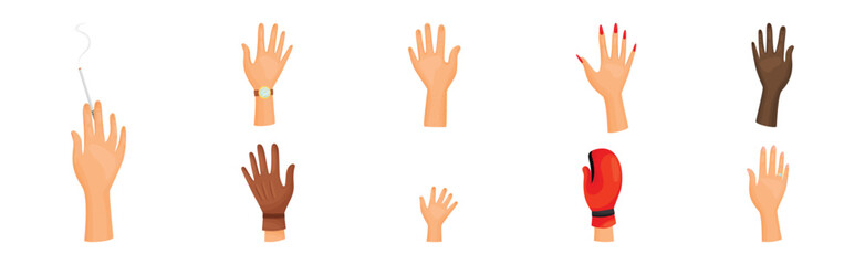 Fototapeta premium Different Human Right and Left Hands with Palm Raised Up Vector Set