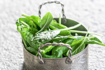 Spinat in schöner Schale roh jung 