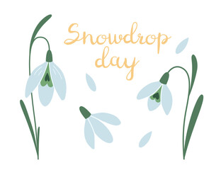 Fototapeta na wymiar Snowdrop day, first spring flowers, cartoon style. Trendy modern vector illustration isolated on white background, hand drawn, flat
