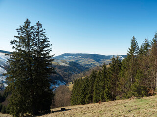 Fototapeta na wymiar Schwarzwald. Fröhnd im Wiesental. Wunderschöne Naturlandschaften mit Blick auf Zell bergland