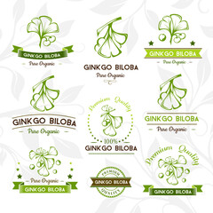 Ginkgo biloba. Badges and labels, emblems collection.
