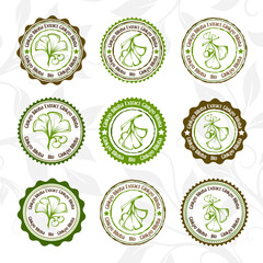 Ginkgo biloba. Circle stamps and stickers
