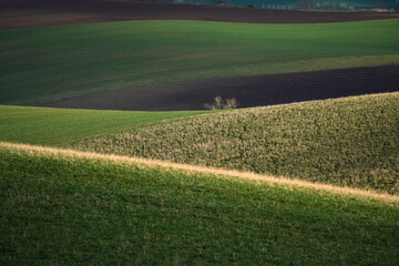South Moravia spring landscape