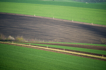 Spring fields in South Moravia