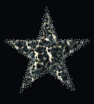 Star Design rhinestones hotfix, you can get inspiration for your T Shirt collections.