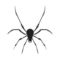Obraz premium spider icon