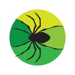 Obraz premium spider icon