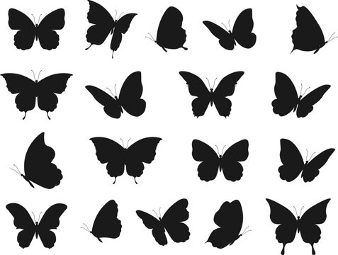 Butterfly tattoo silhouettes. Butterflies silhouette shapes, black decorative fly insects icons, ink spring moth objects