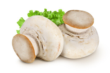 Champignons on an isolated white background.