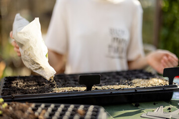 Woman covering soil with vermiculite while sowing seeds into seedling trays, close-up