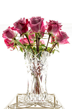 roses in vase