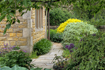 Flowers, herbs and shrubs in a traditional English cottage garden , on a summer day . - 585529907