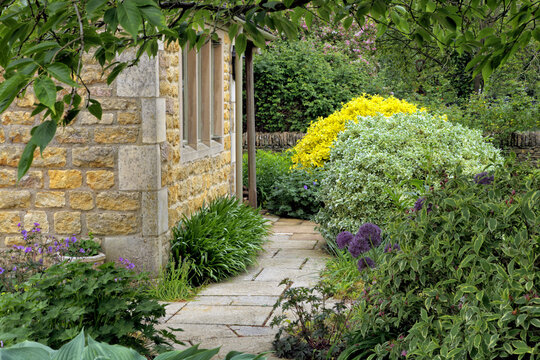 Flowers, herbs and shrubs in a traditional English cottage garden , on a summer day .