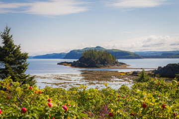 Ile aux amours (Quebec)