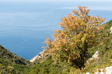 Mediterrane Mittelmeerblicke bei Rundreise auf griechischen Inseln
