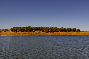 Crianças felizes de férias em viagem com destino: praia em Portugal