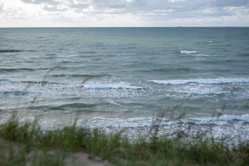 The wind sways the sea and the green grass in the sand dunes. Waves in the sea in windy weather in the background. Copyspace