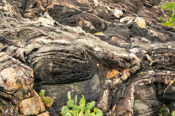 Fototapeta na wymiar The background is the texture of a rocky sea stone. Tropical photography for tourism, design and advertising