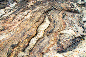The background is the texture of a rocky sea stone. Tropical photography for tourism, design and advertising