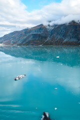 Glacial ice floating in the Glacier Bay Basin, Alaska