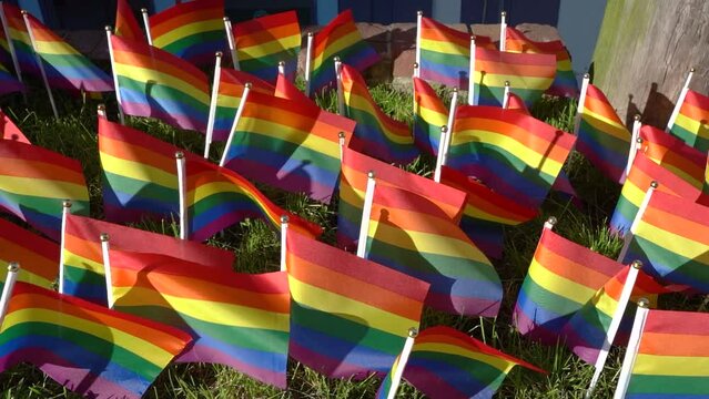 many small rainbow pride flags in a garden waving in the breeze in slow motion
